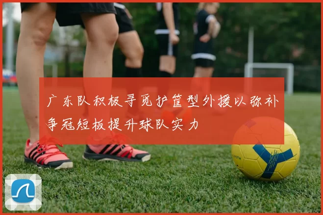 广东队积极寻觅护筐型外援以弥补争冠短板提升球队实力